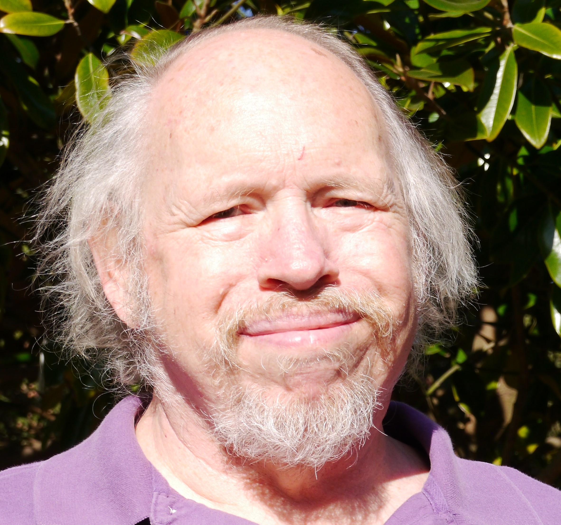 Steven J. Rolfes Profile Photo