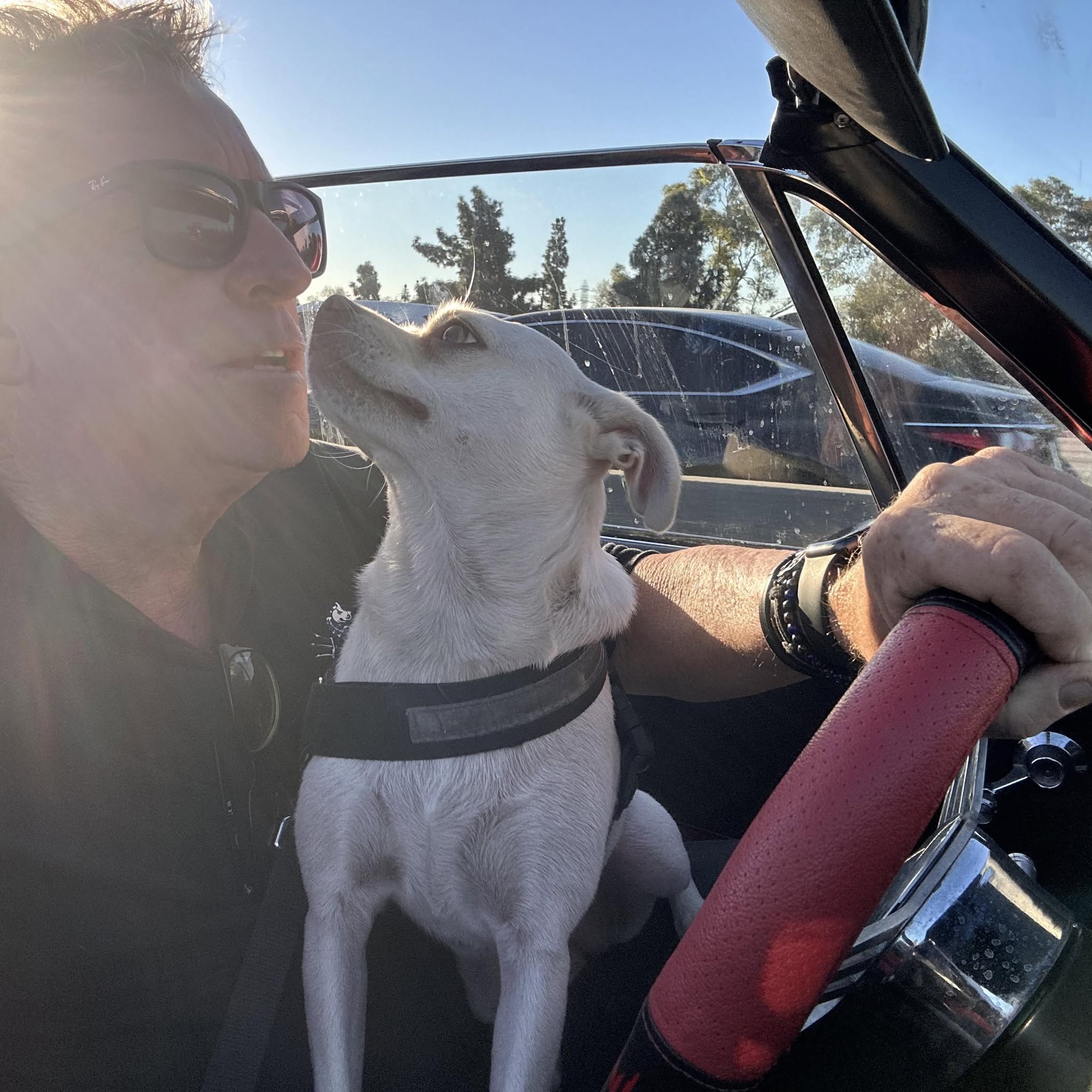 Rick Portanova Profile Photo