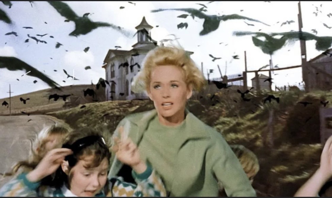 Bird Crazy