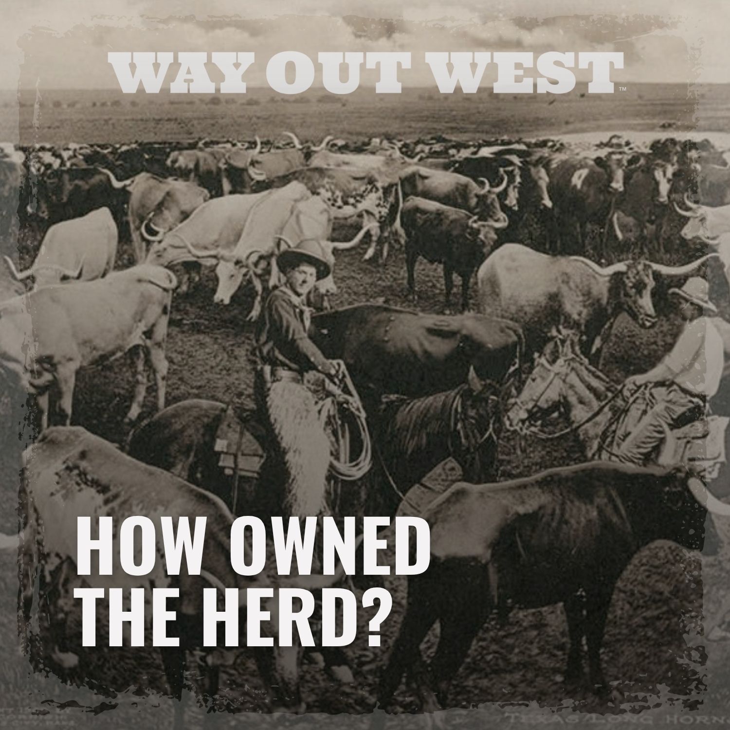 Who Really Owned the Cattle on a Cattle Drive?