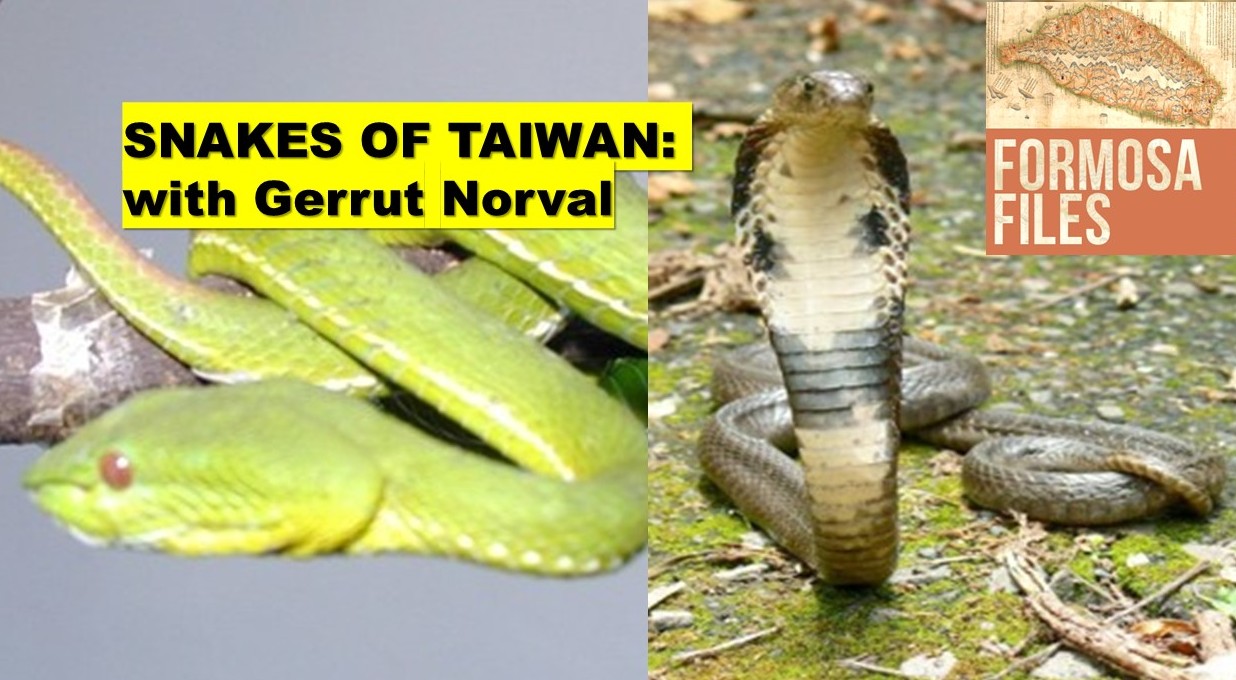 Snakes of Taiwan (with Gerrut Norval) – S6-E16