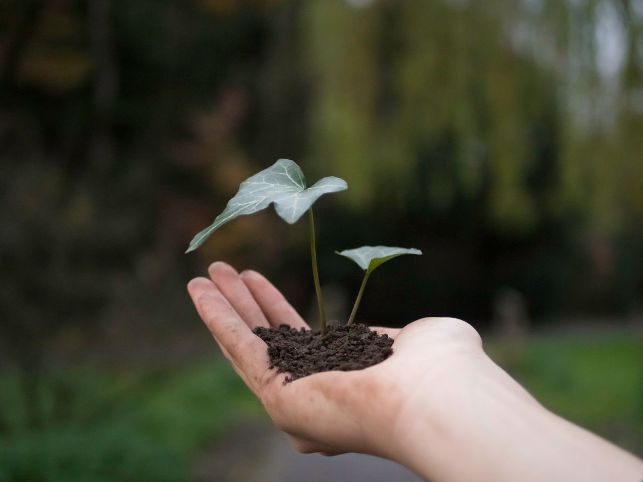 Growth Is a Responsibility, Not a Race