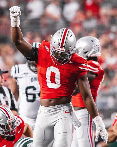 Top 50 IDP Rookie Rankings (Preseason Edition)