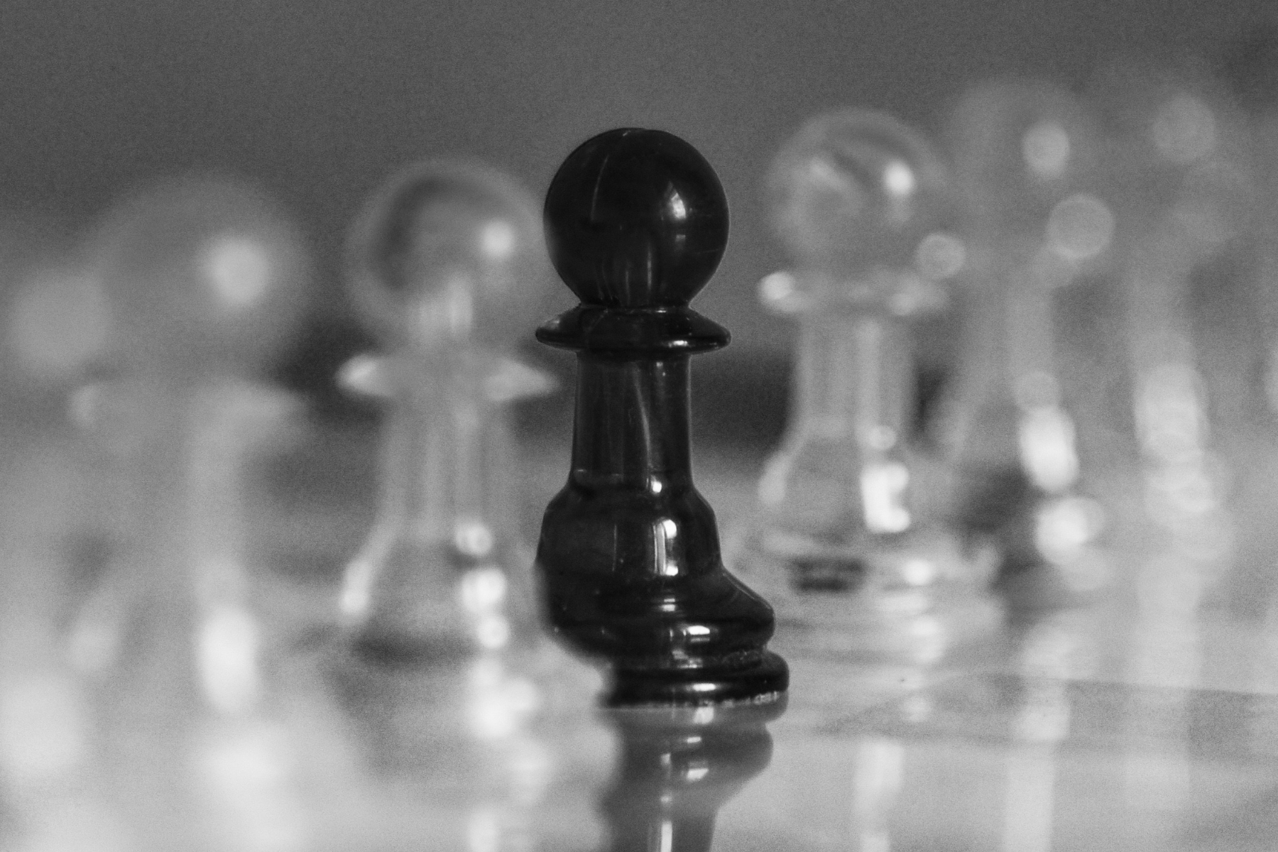 Community as a Survival Strategy Community as a Survival Strategy