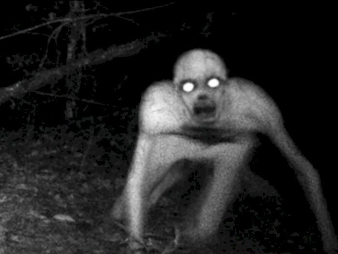 Real Rake Cryptid Sighting