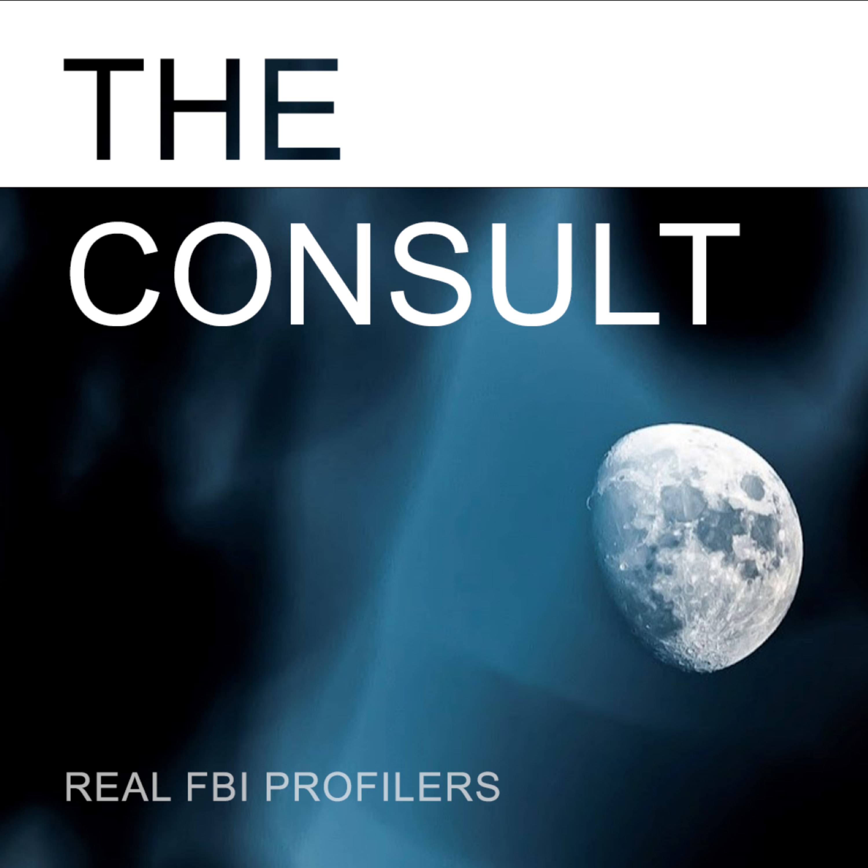 148. Profiling Jeffrey Epstein – Part 2