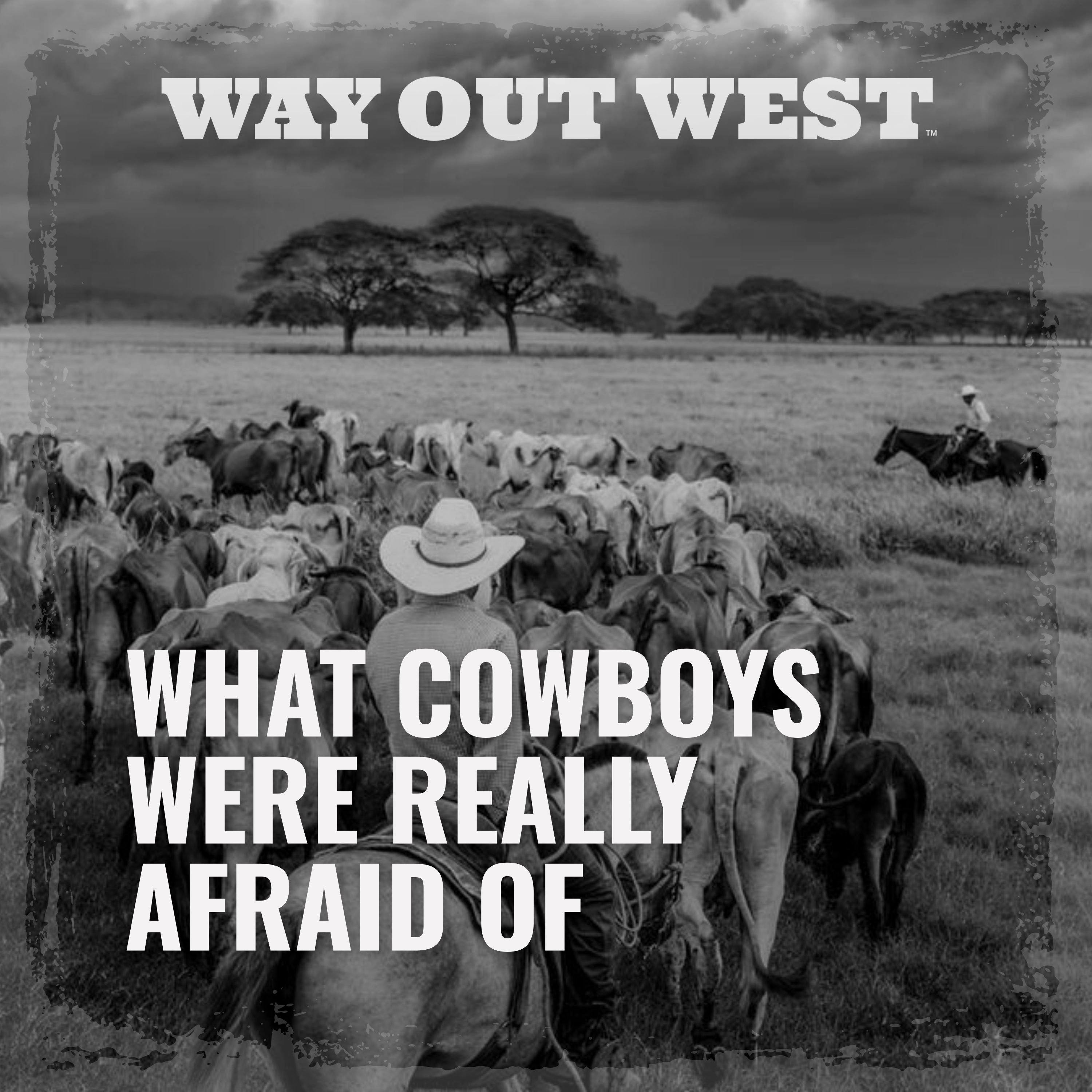 Encore: What Cowboys Were Really Afraid Of