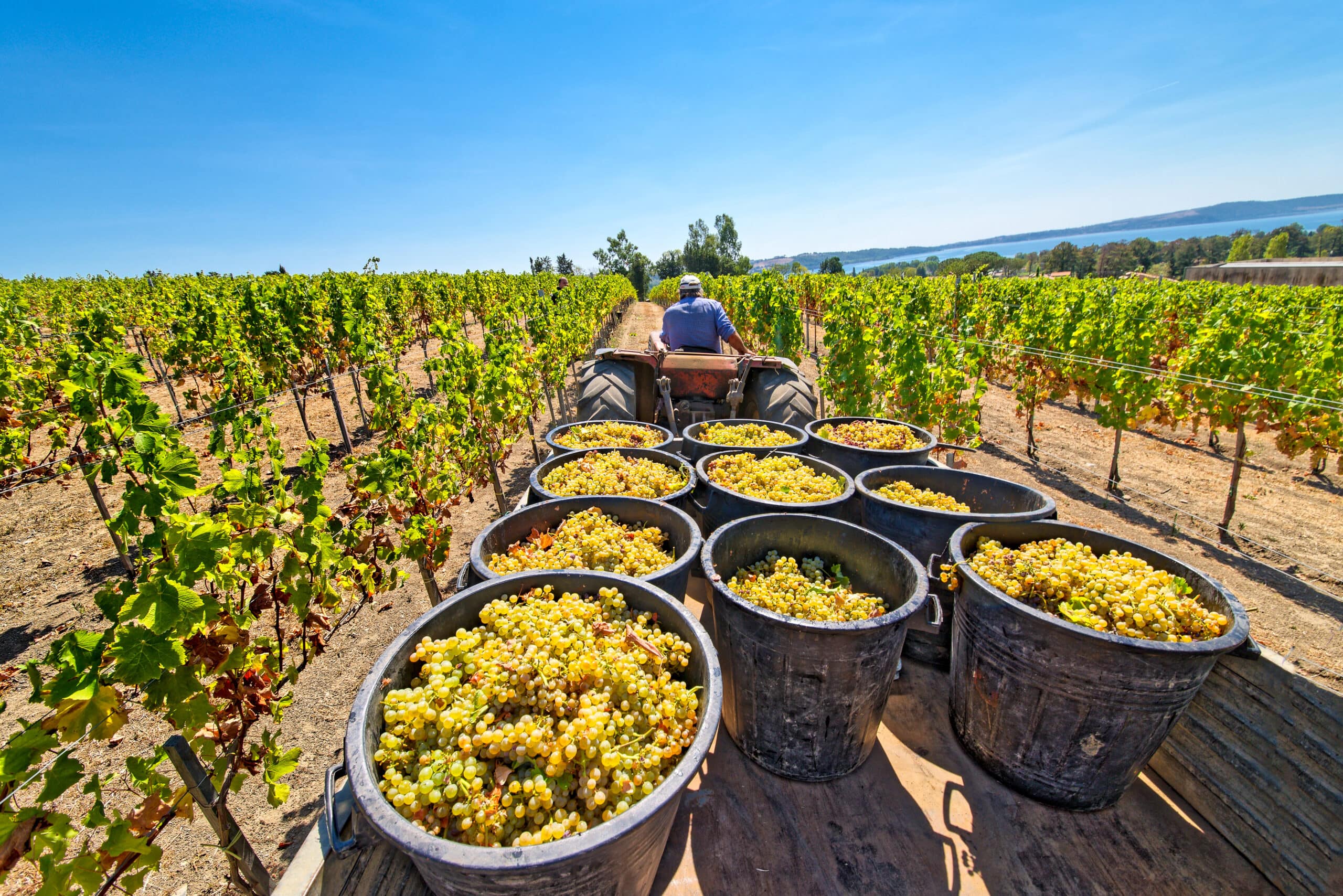 Liquor Industry News 10-12-26
