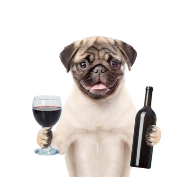 Liquor Industry News 08-26-26