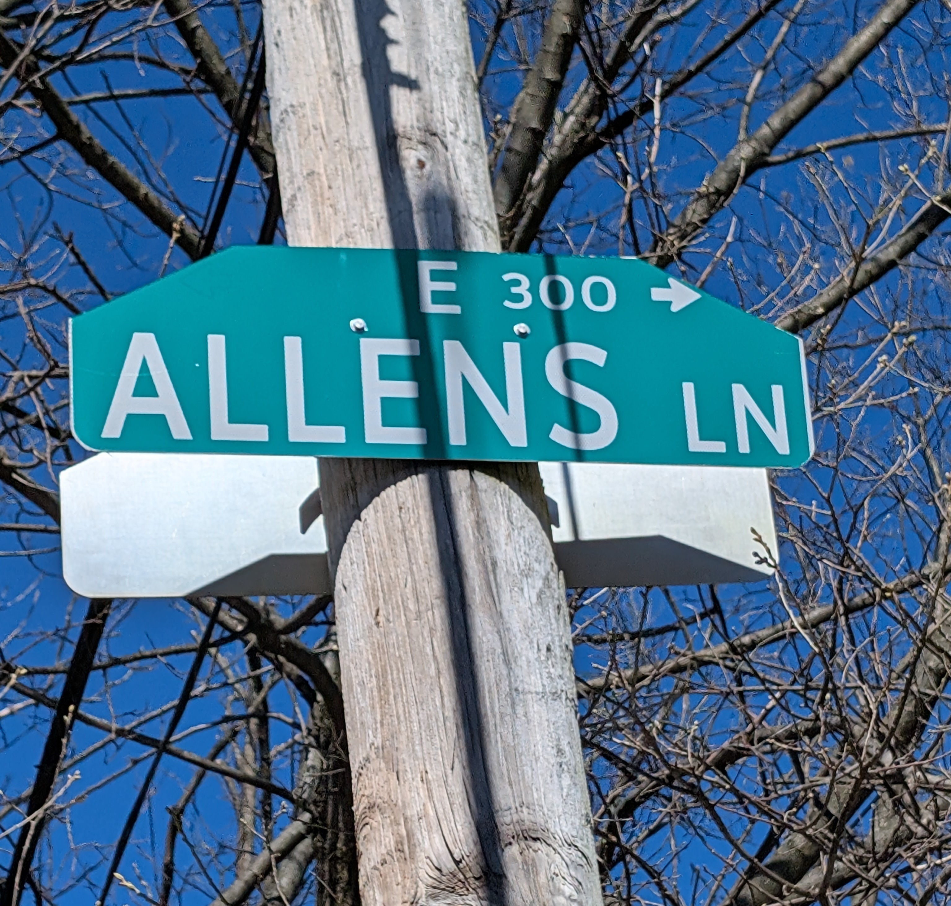 Renaming Allens Lane (Ep20)