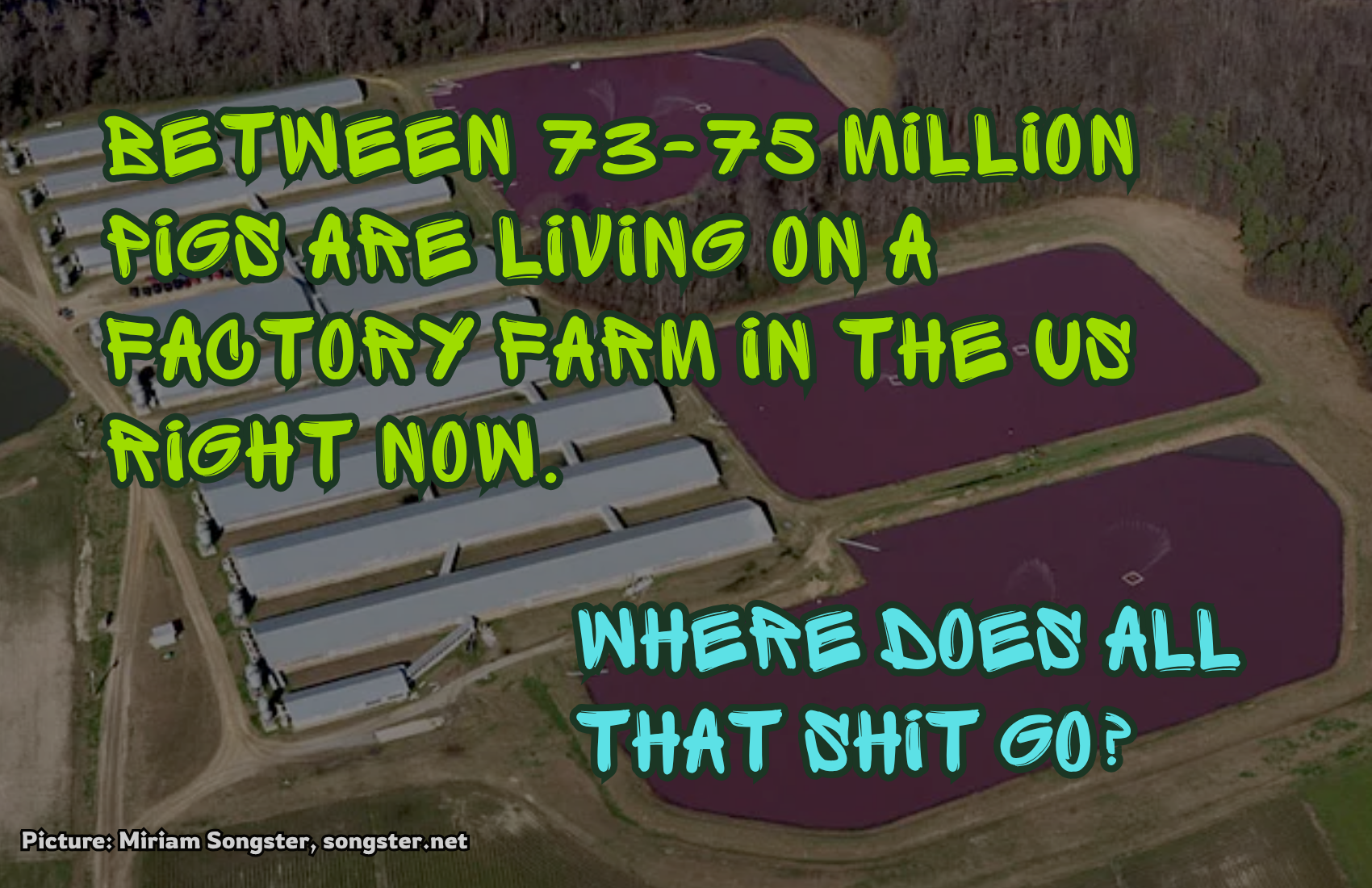 Pink Poop Lagoons: Bad for Literally Everyone