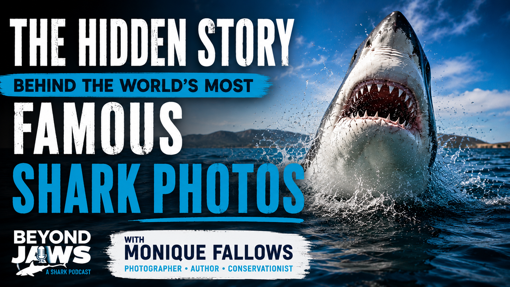 The Hidden Story Behind the World’s Most Famous Shark Photos