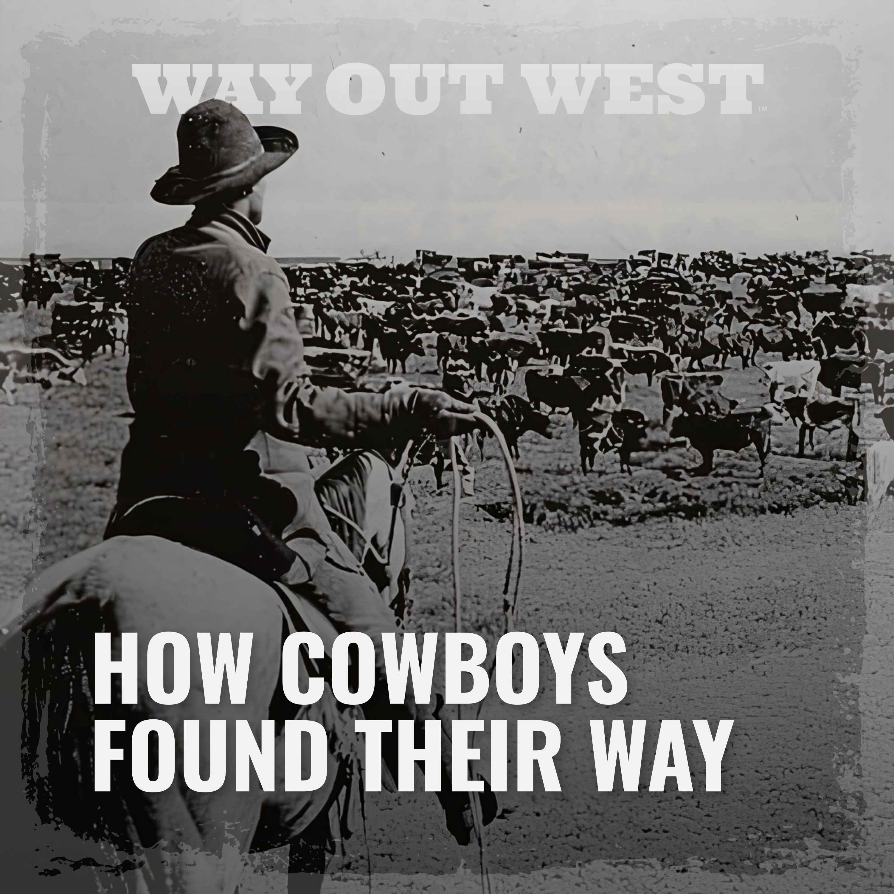 How Did Cowboys Find Their Way Across the Open Range?