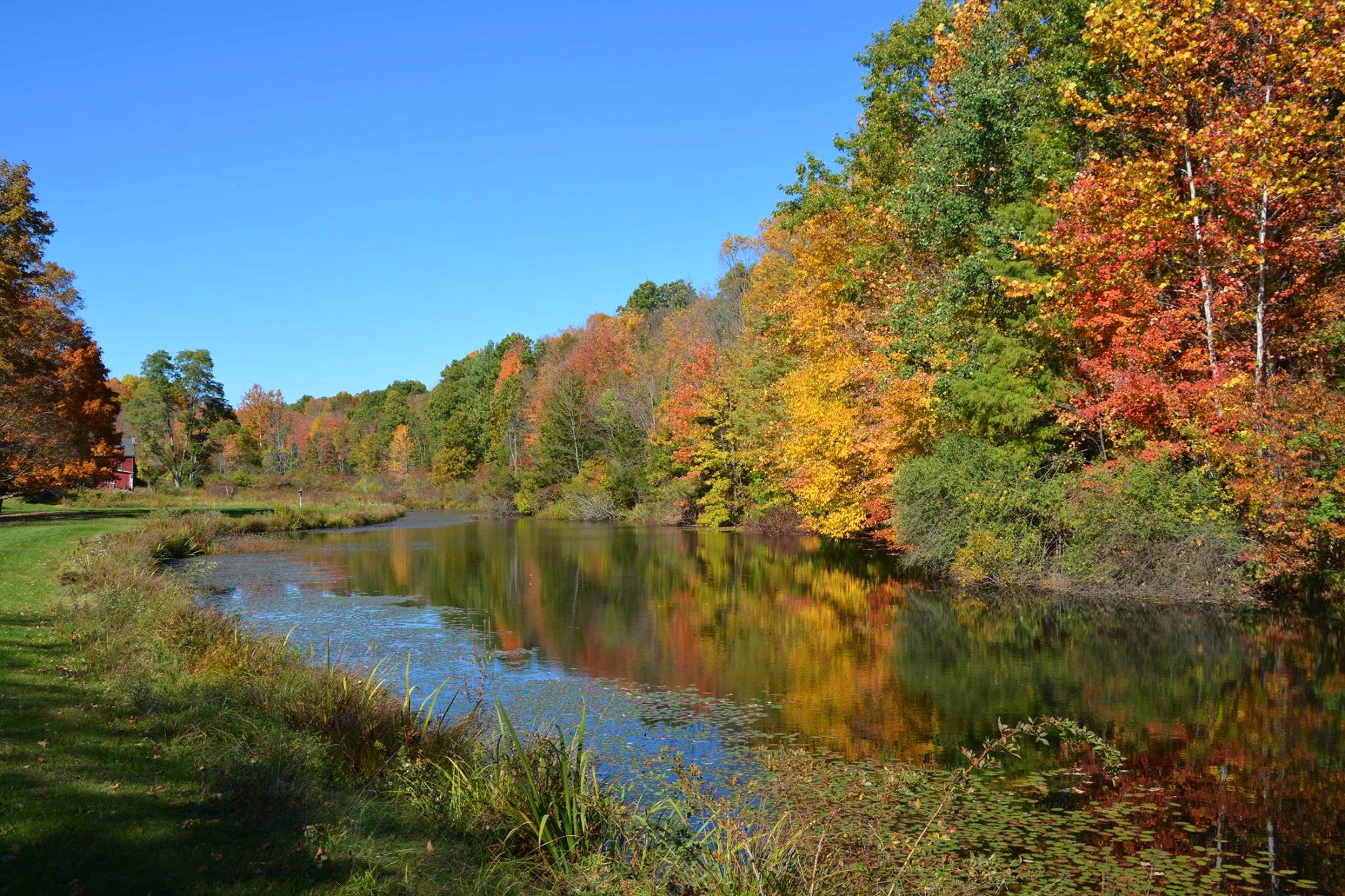 A Fall Foliage Guide to the Hudson Valley
