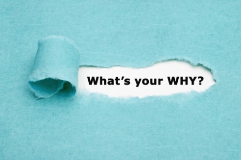 Founder & Success Whisperer Stephen Shortt: Blueprint for Massive Success & True Fulfillment