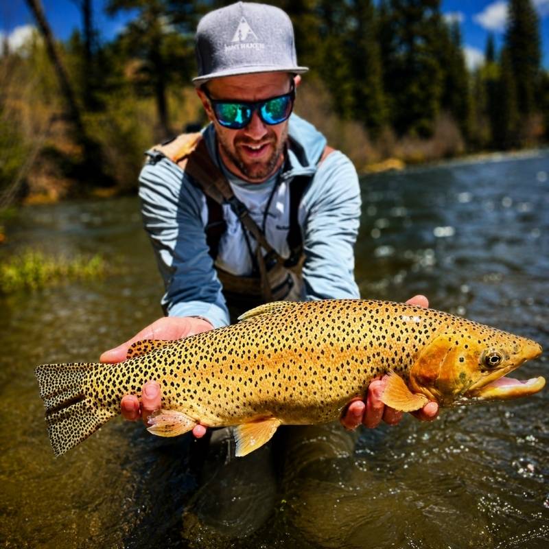 Hog Heaven on the Taylor River with John Evon