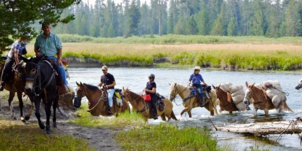 This Grizzly Picked the Wrong Camp: An Epic Yellowstone Backcountry Story