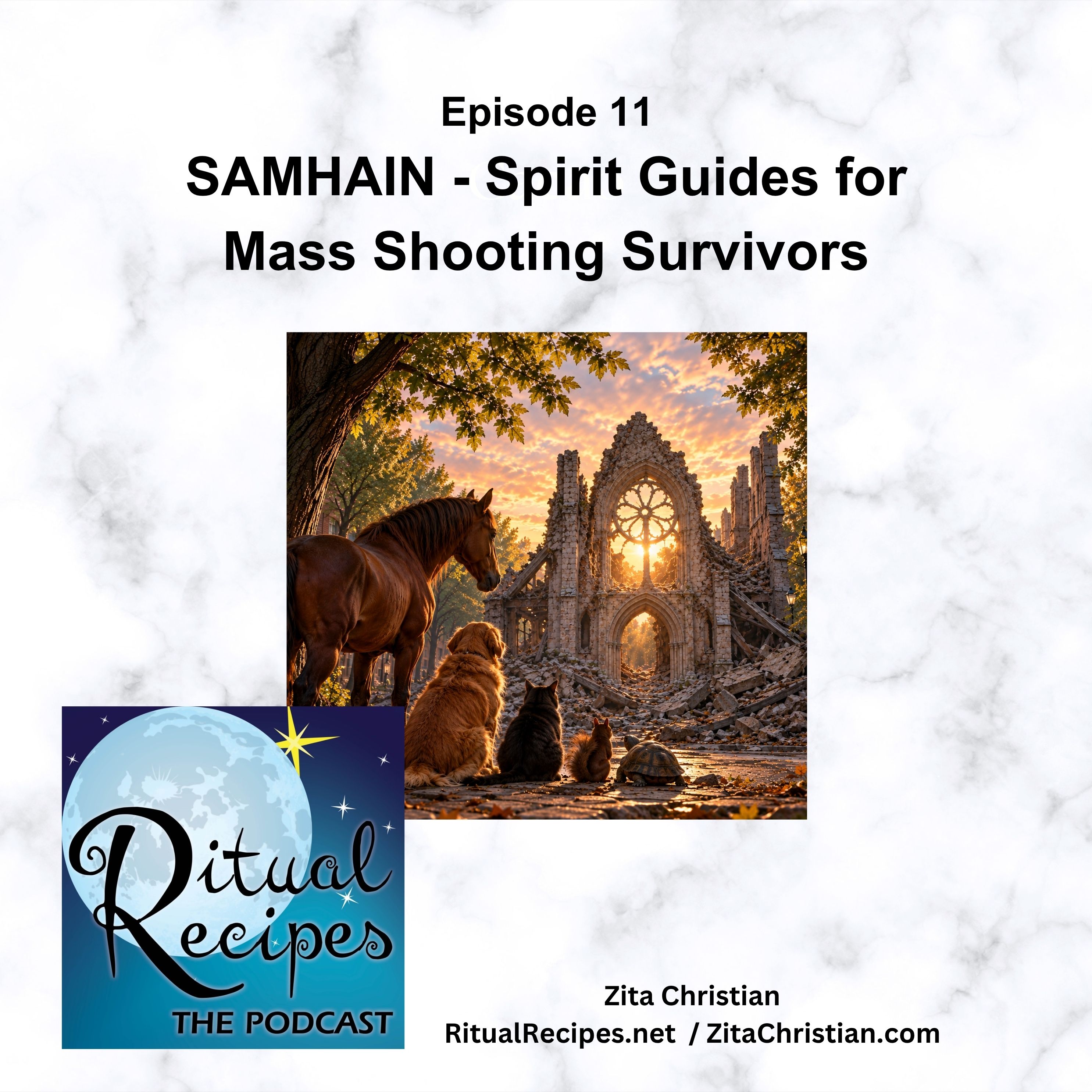 Samhain - Animal Spirit Guides for Mass Shooting Survivors
