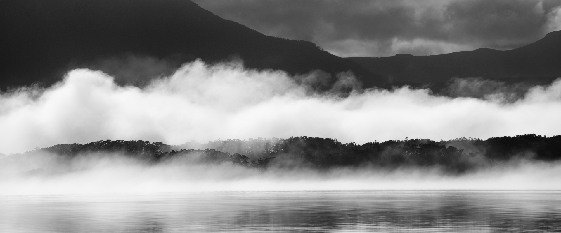 Lens & Life with Pete George