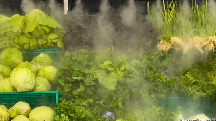 The Organic Label Is a Promise. Thousands of Grocery Stores Were Breaking It.