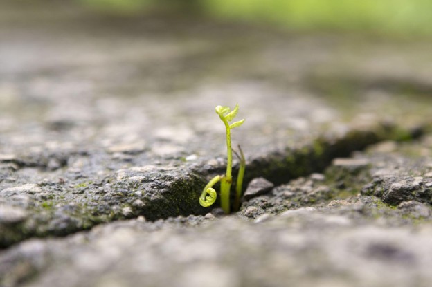 Choosing Hope