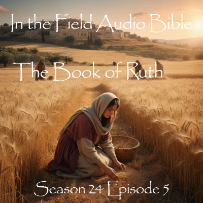 Gleaning in Grief: Mercy Hiding in Plain Sight