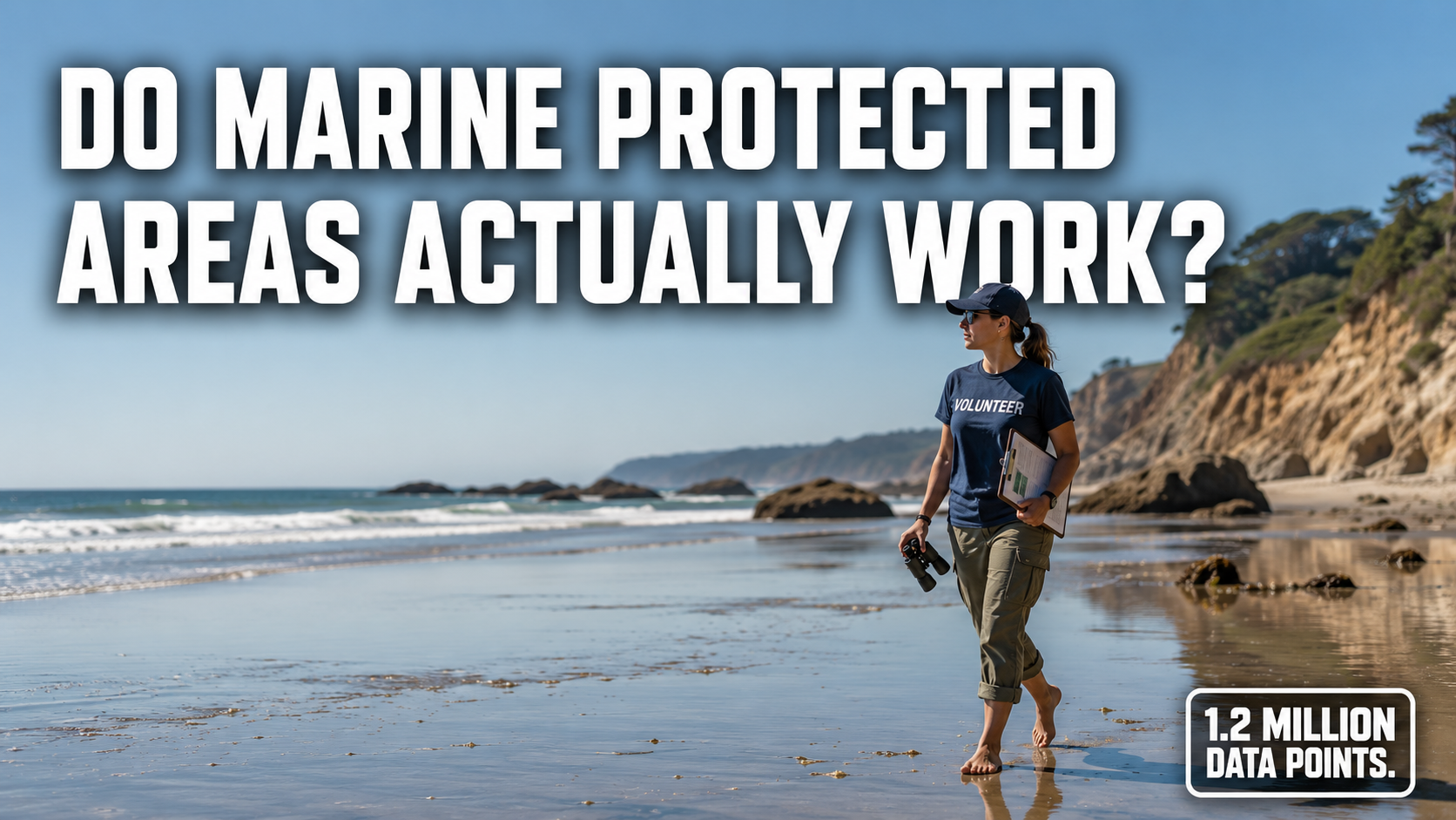 Do Marine Protected Areas Actually Work? Here's What 2,000 Volunteers Found Out Do Marine Protected Areas Actually Work? Here's What 2,000 Volunteers Found Out