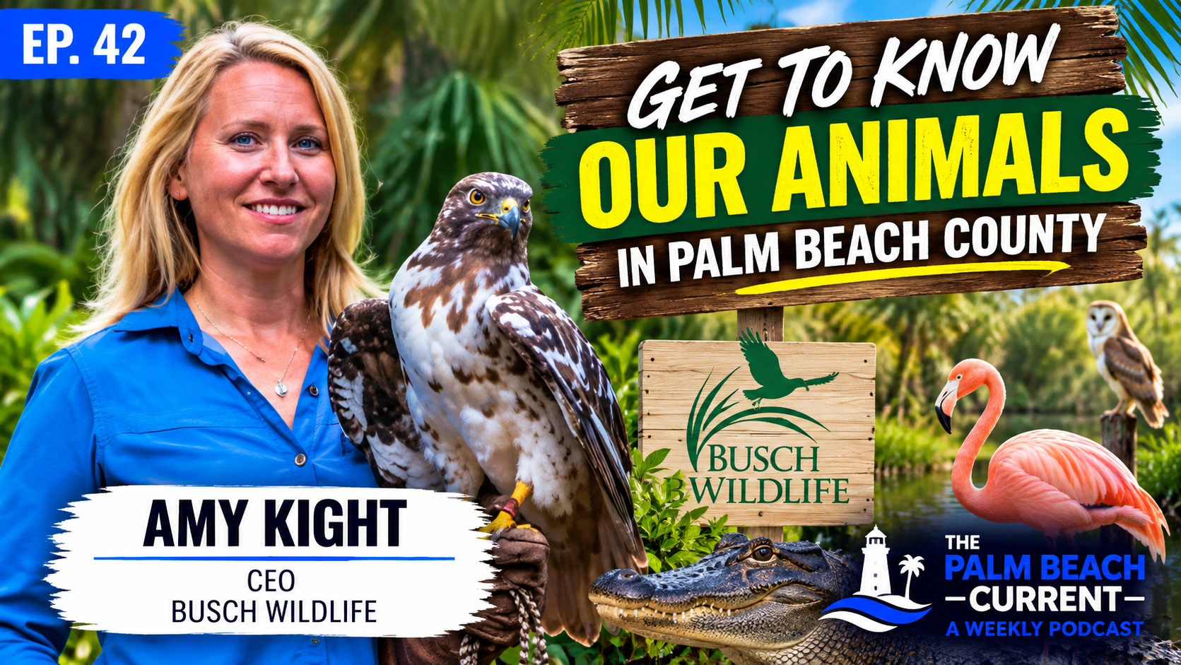 Amy Kight, CEO of Busch Wildlife Ep.42
