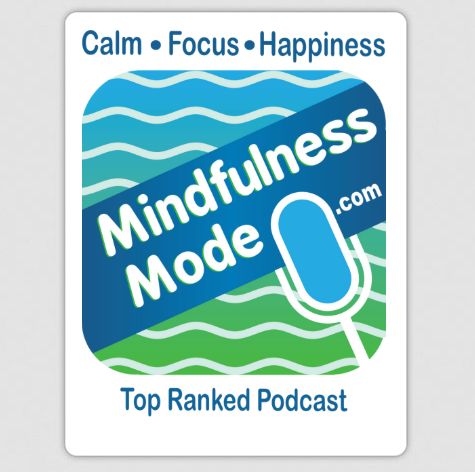 Mindfulness Mode Magnets