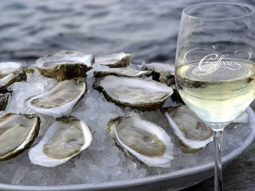 Liquor Industry News 08-05-26
