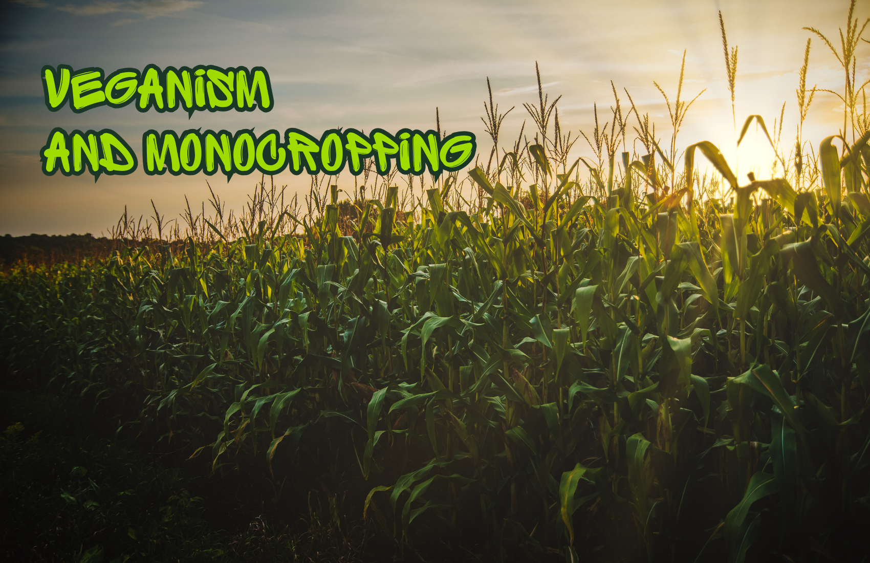 Veganism and Monocropping