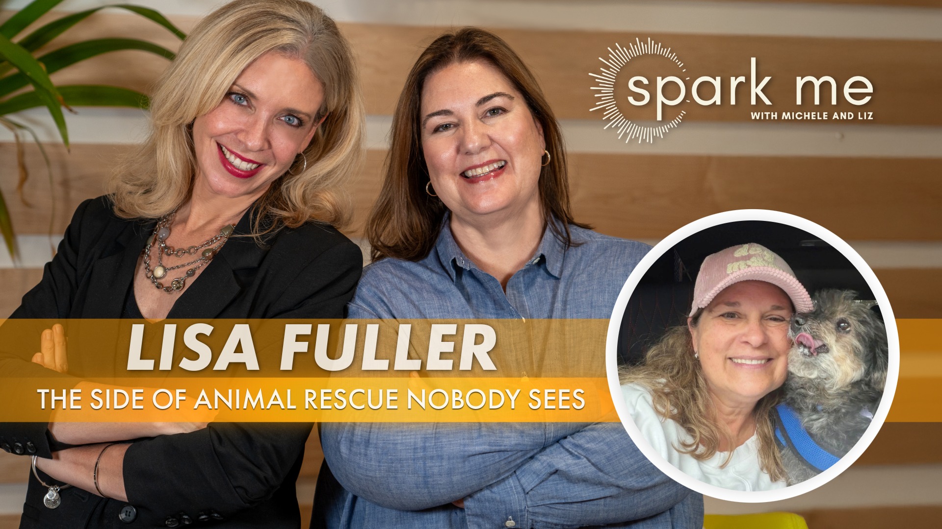 More Than Rescue: What Animals Teach Us About Being Human
