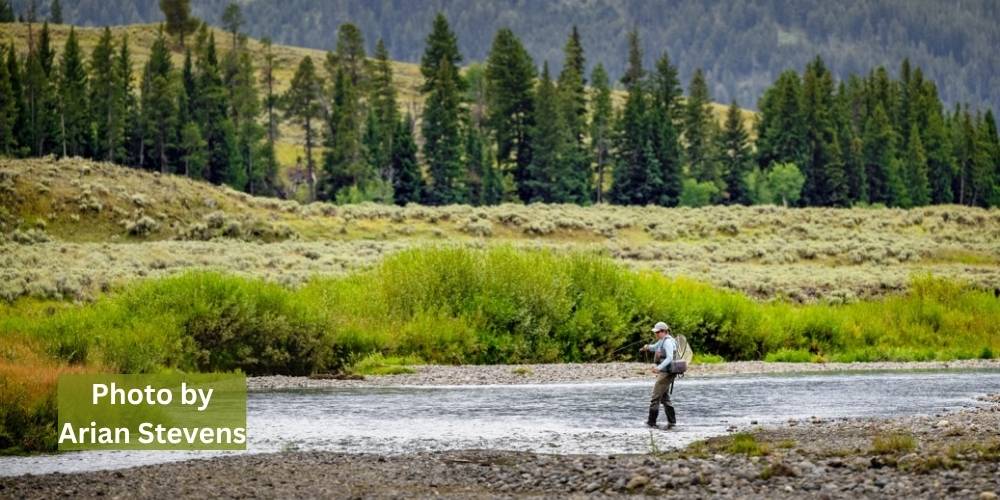 Destination: the Madison River Destination: the Madison River