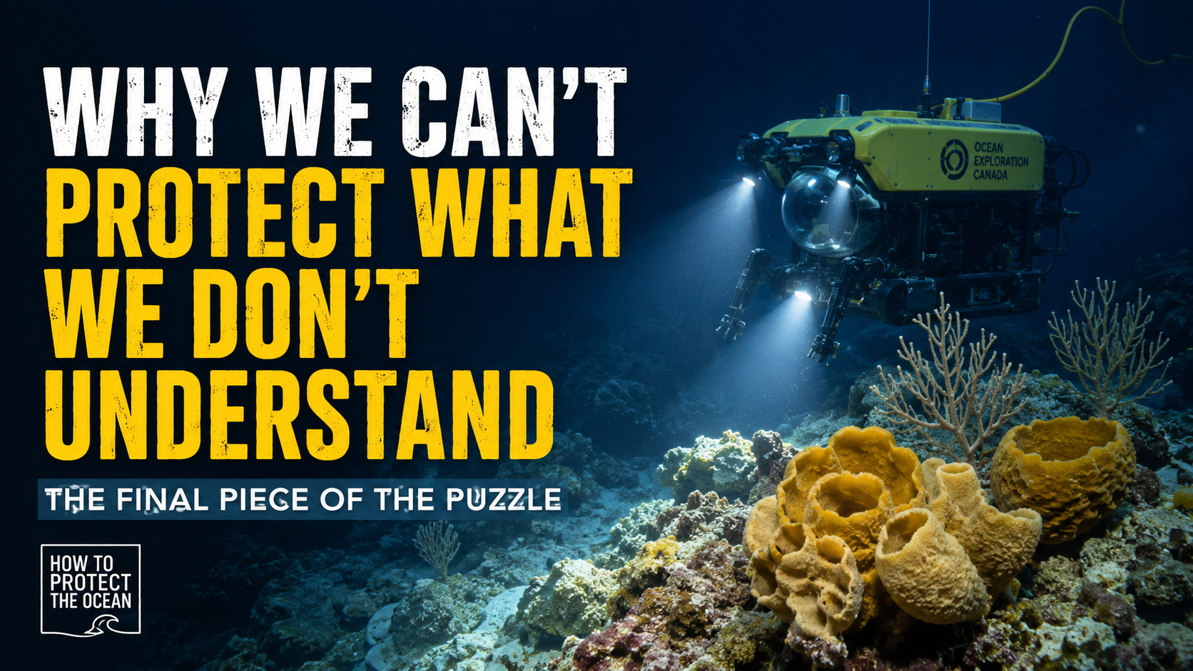 Why We Can’t Protect What We Don’t Understand Why We Can’t Protect What We Don’t Understand