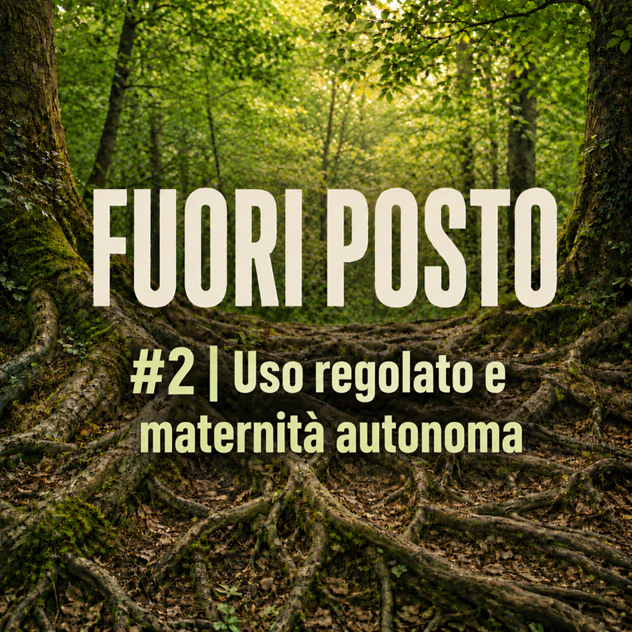 Fuori Posto #2 Uso regolato e maternità autonoma