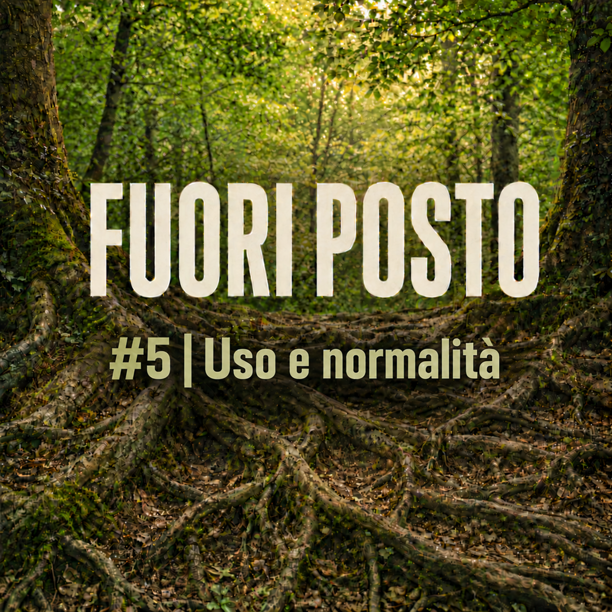 Fuori Posto #5 Uso e normalità