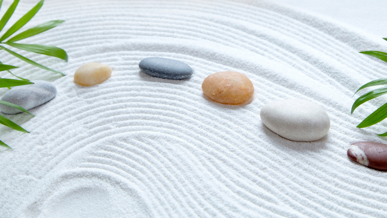 🪷 Bringing Calm Home | The Zen Garden Story