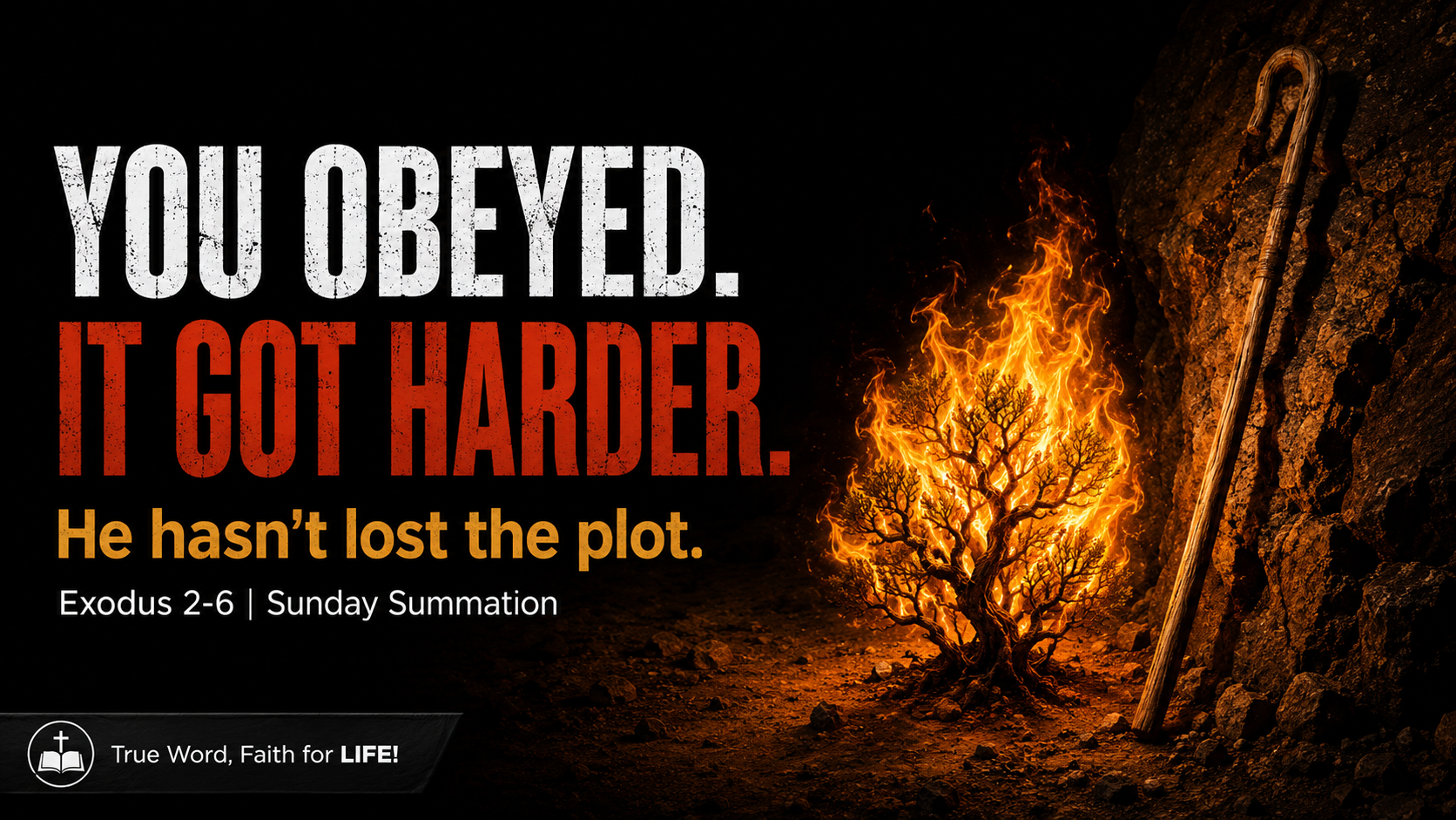 What If God Keeps His Word in the Hard Place?